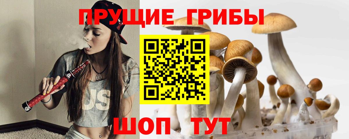 Тулун  Псилоцибиновые грибы Magic Shrooms  Псилоцибиновые грибы Cubensis  Вход с VPN 